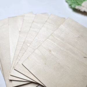 a spread of basswood laid out